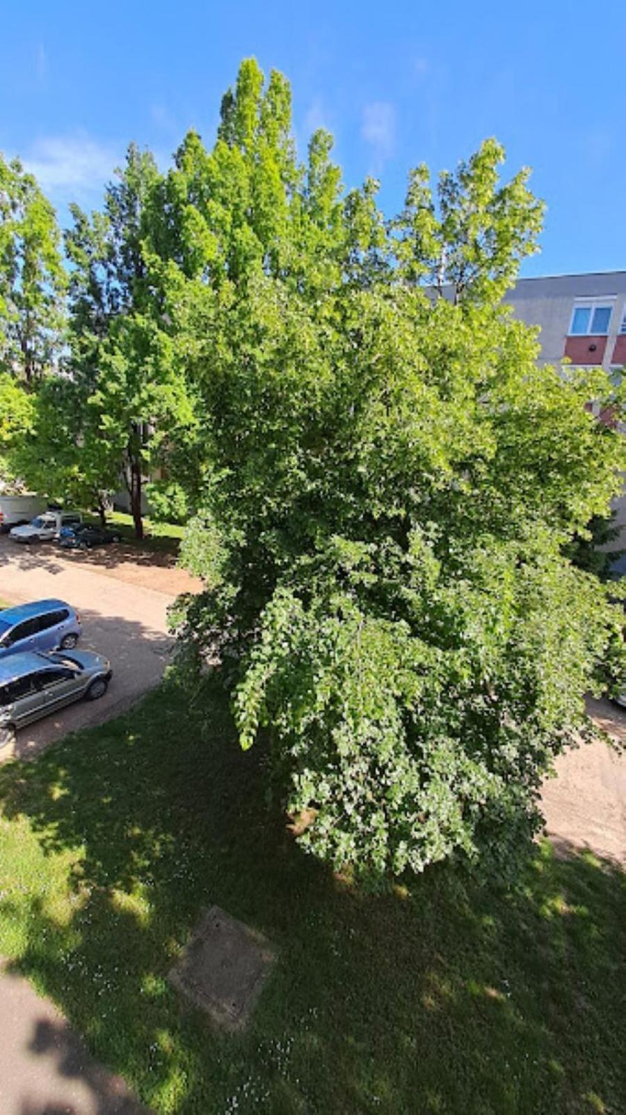 Szilfak City Apartman Hajduszoboszlo Ngoại thất bức ảnh